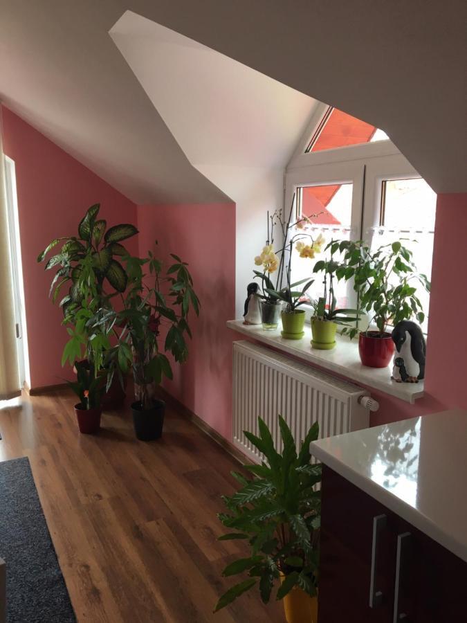 Apartamento Privát Daniela Štrba Exterior foto